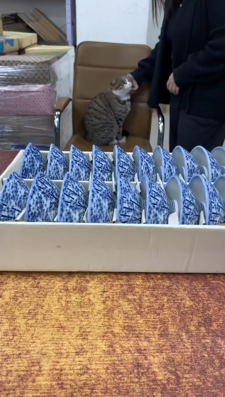 瓷片174小林轩欢迎您