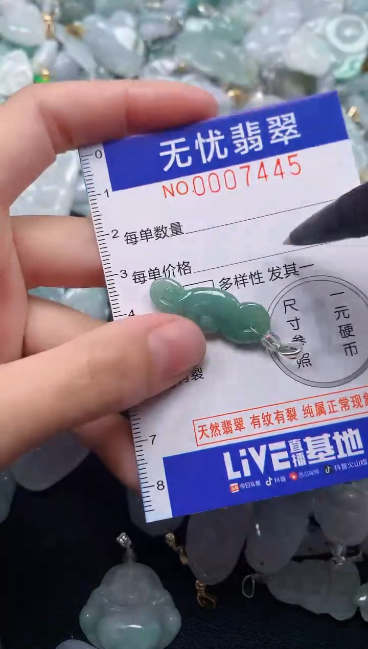 颈饰未镶嵌翡翠7445