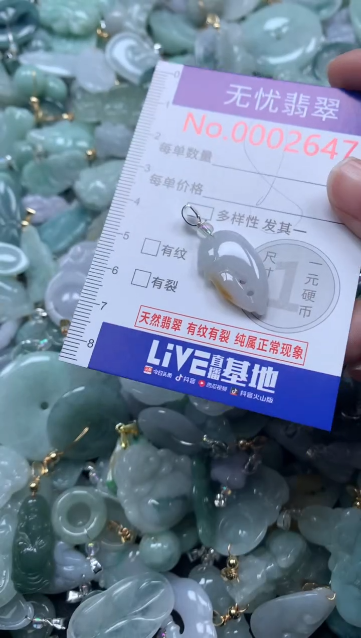 颈饰未镶嵌翡翠2647
