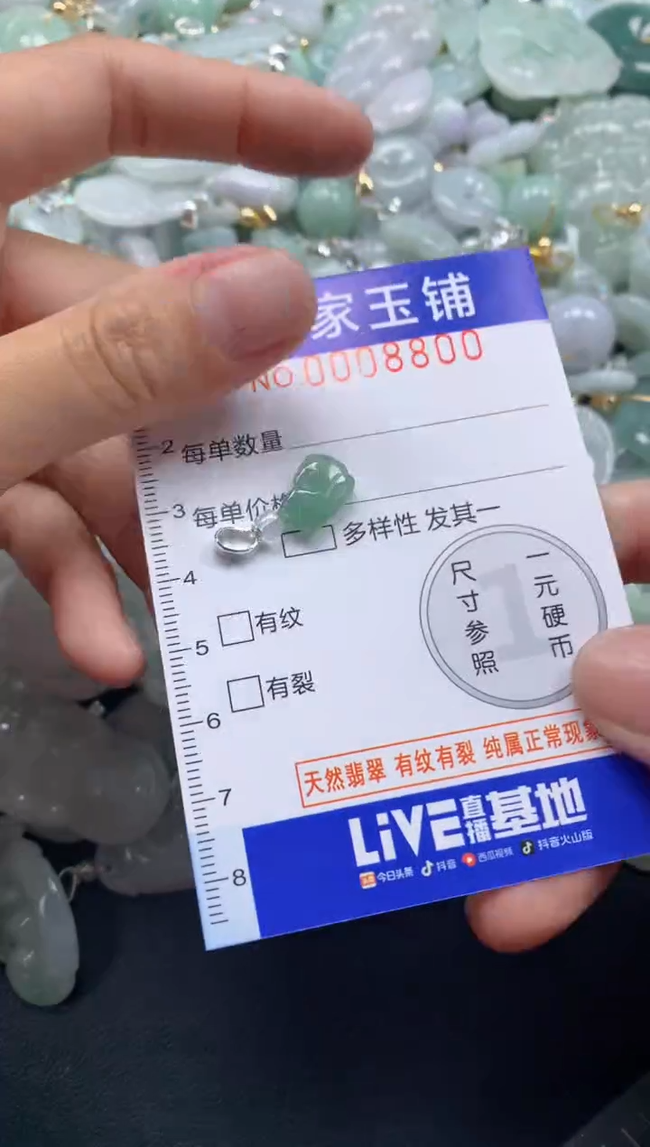 颈饰未镶嵌翡翠8800