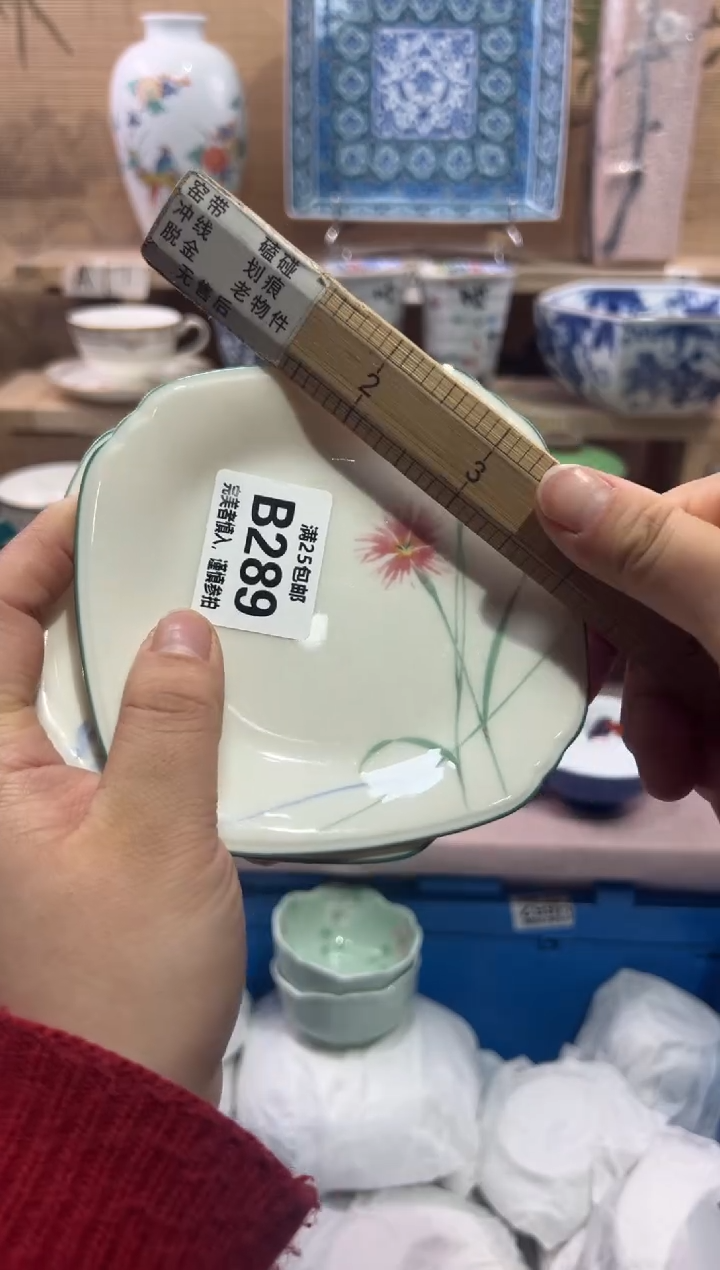 瓷片用****6              B289