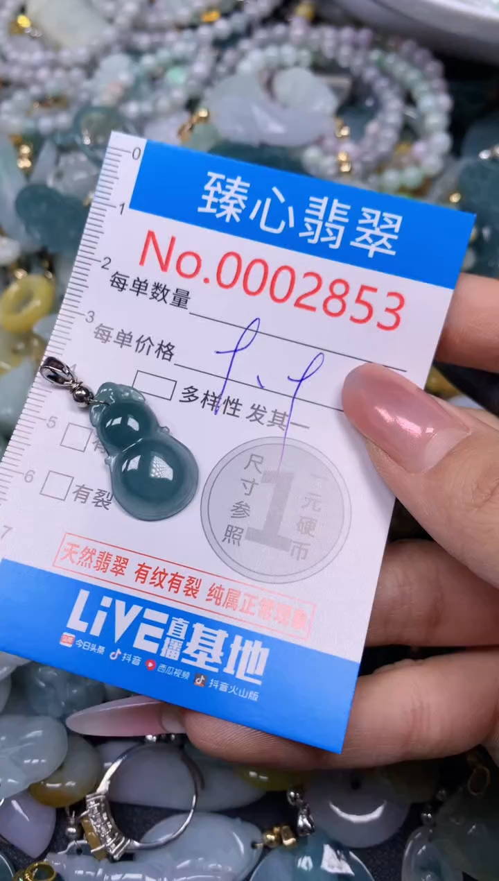 【闪购商品】翡翠颈饰未镶嵌含绳0002853