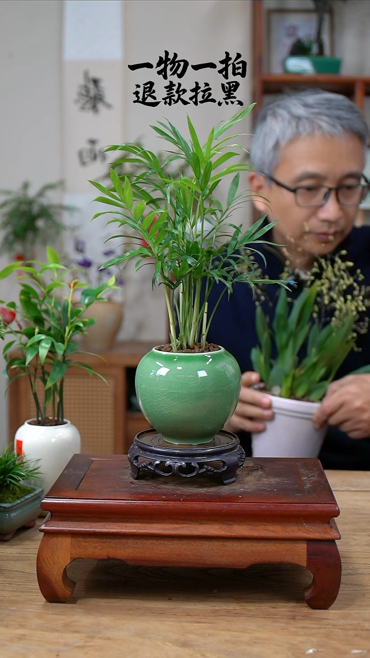 完全开放派椰子241