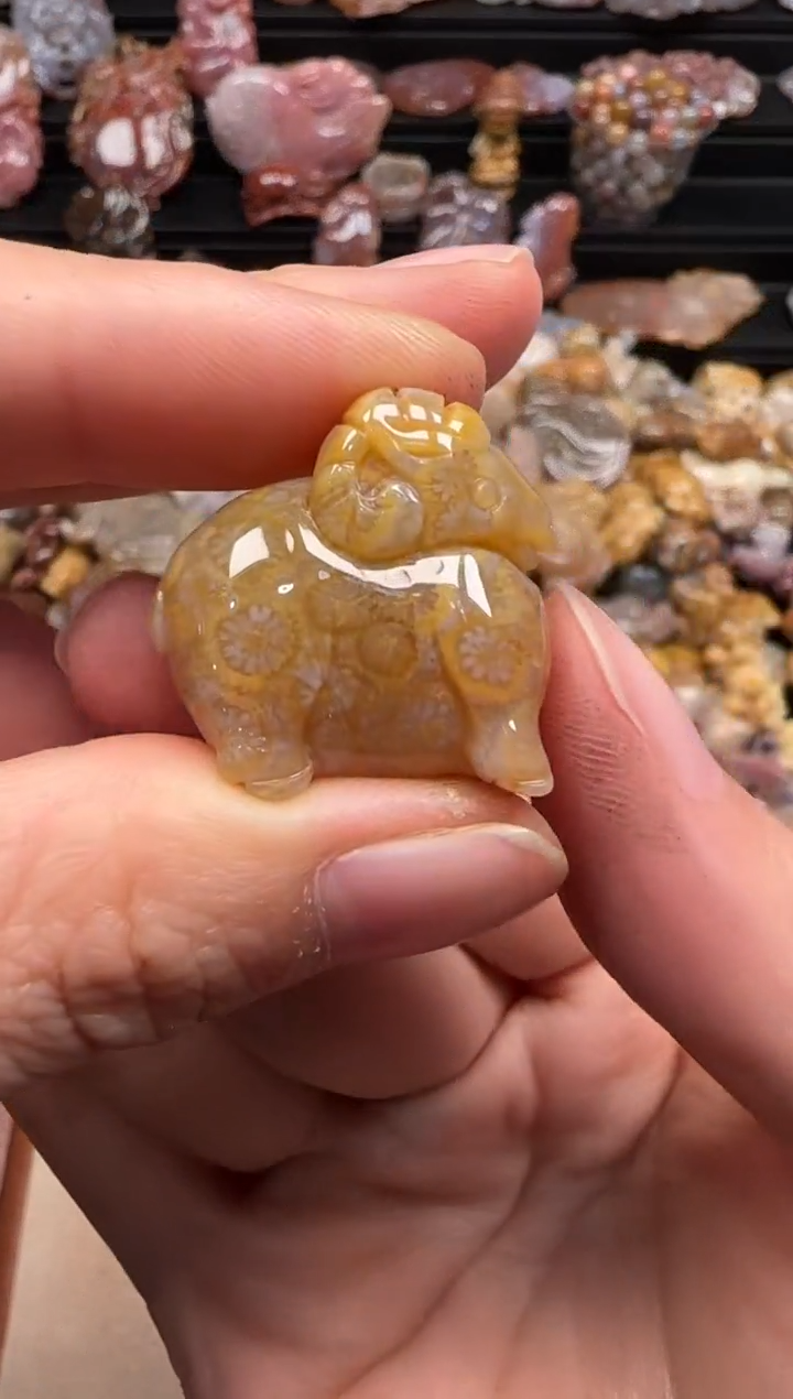 【闪购商品】硅化珊瑚（珊瑚玉）颈饰未镶嵌440