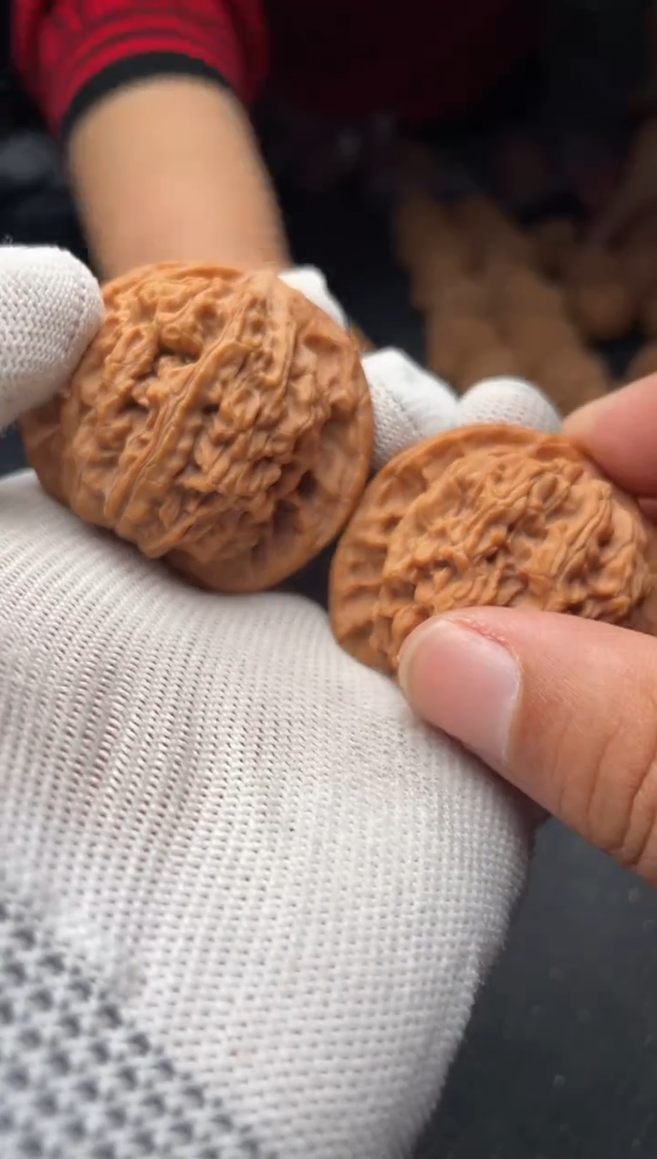 核桃a113    盘龙纹 43尺