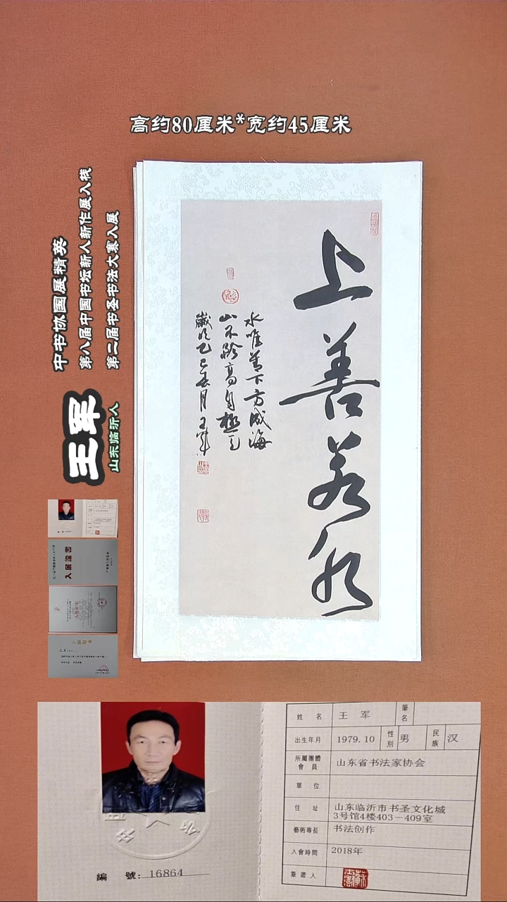 【闪购商品】书法160王军书法作品