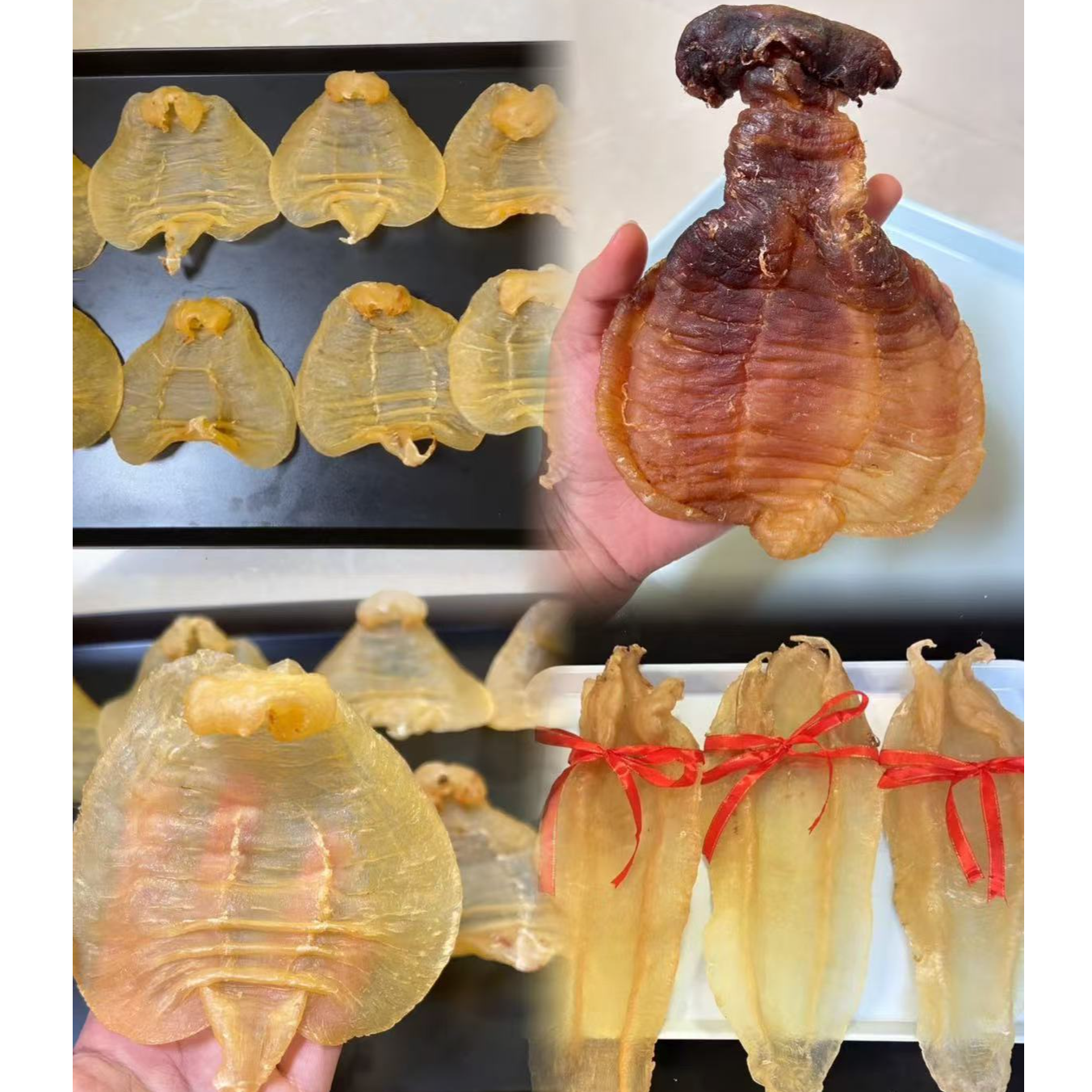 【姚大姐粉丝专属】鱼胶链接1-500g 直播间改价链接