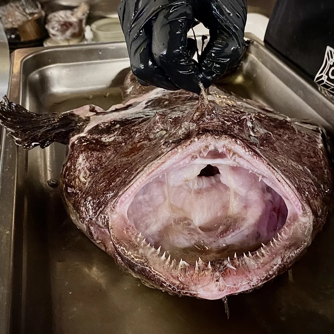 安康鱼3斤纯鱼肉