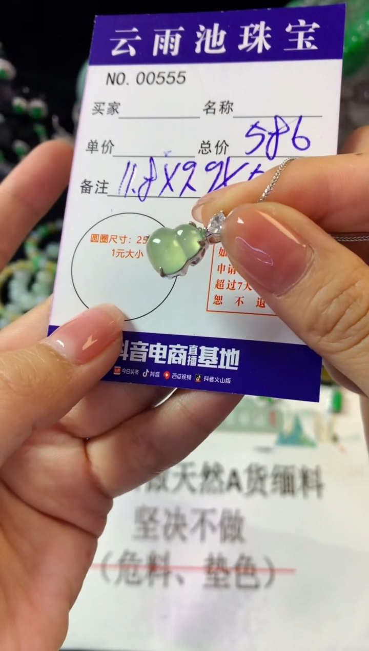 翡翠银S925镶嵌颈饰翡翠