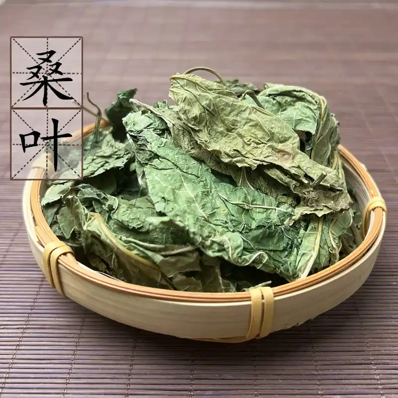 桑叶 无硫霜 桑叶大片不碎 晒干茶泡水