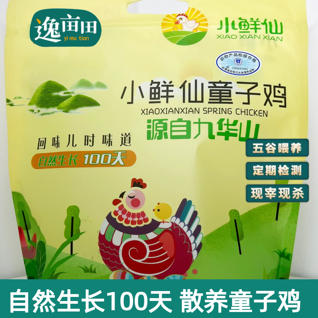 小鲜仙童子鸡散养土鸡粮食鸡健康现杀生鸡（冷冻发货）