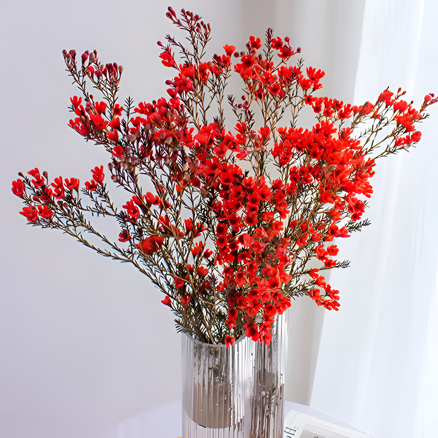 【银座鲜花】平头腊梅 红配花原装整扎若干支每扎-全店任选满59.9顺丰包邮鲜切花家居花生活鲜花