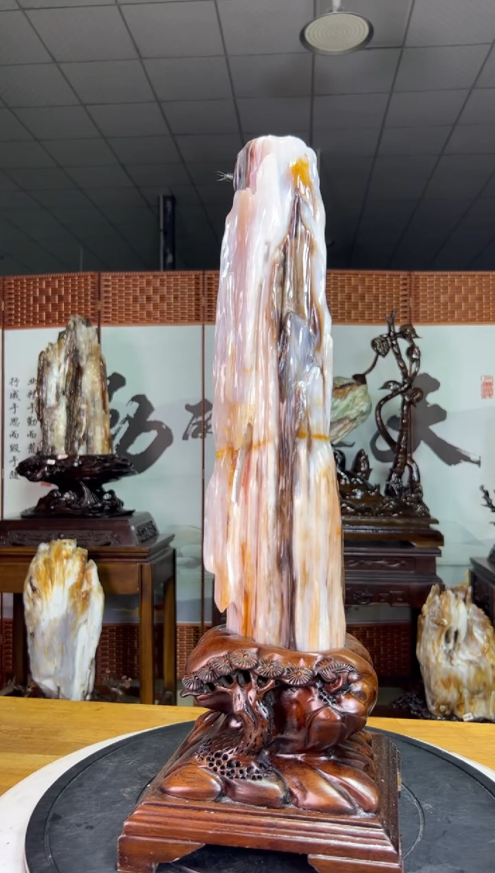 未镶嵌珠宝奇石硅化玉7