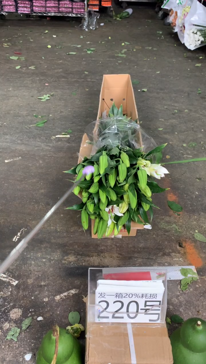 220号♥含20%耗损发一箱