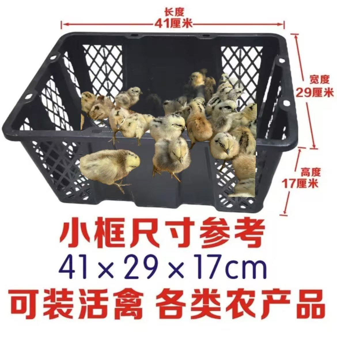 精品花冠鹊山鸡专用家禽苗收纳箱运输周转筐顺丰包邮