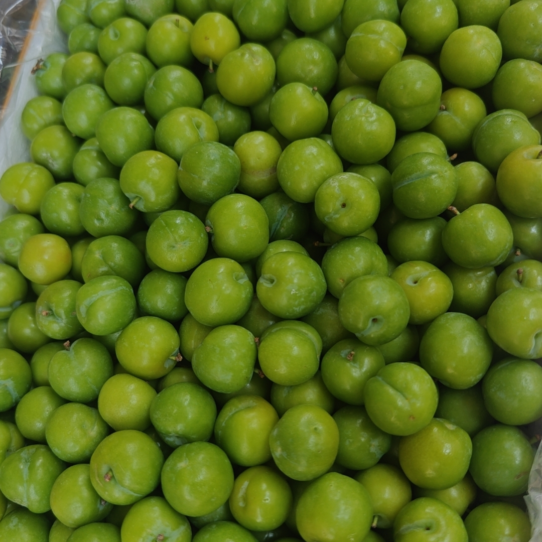 青李子500g中果
