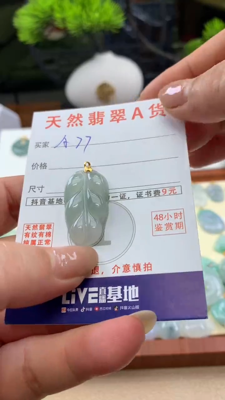 颈饰未镶嵌翡翠天然A货翡翠挂件