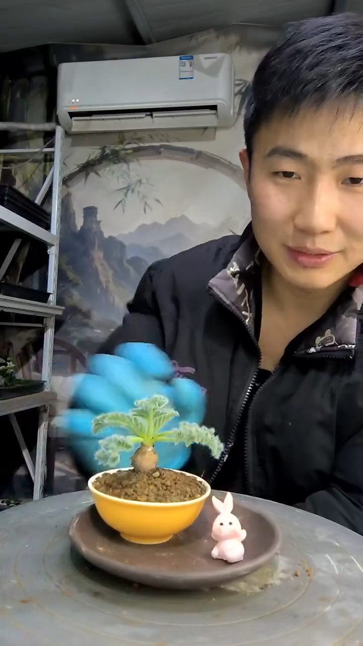 骑*中青园艺一物一拍花426