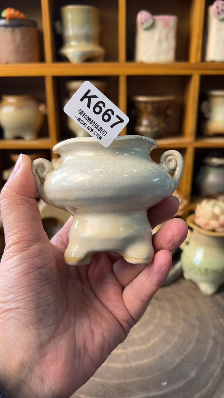 甜**儿667【多肉花盆多肉盆】