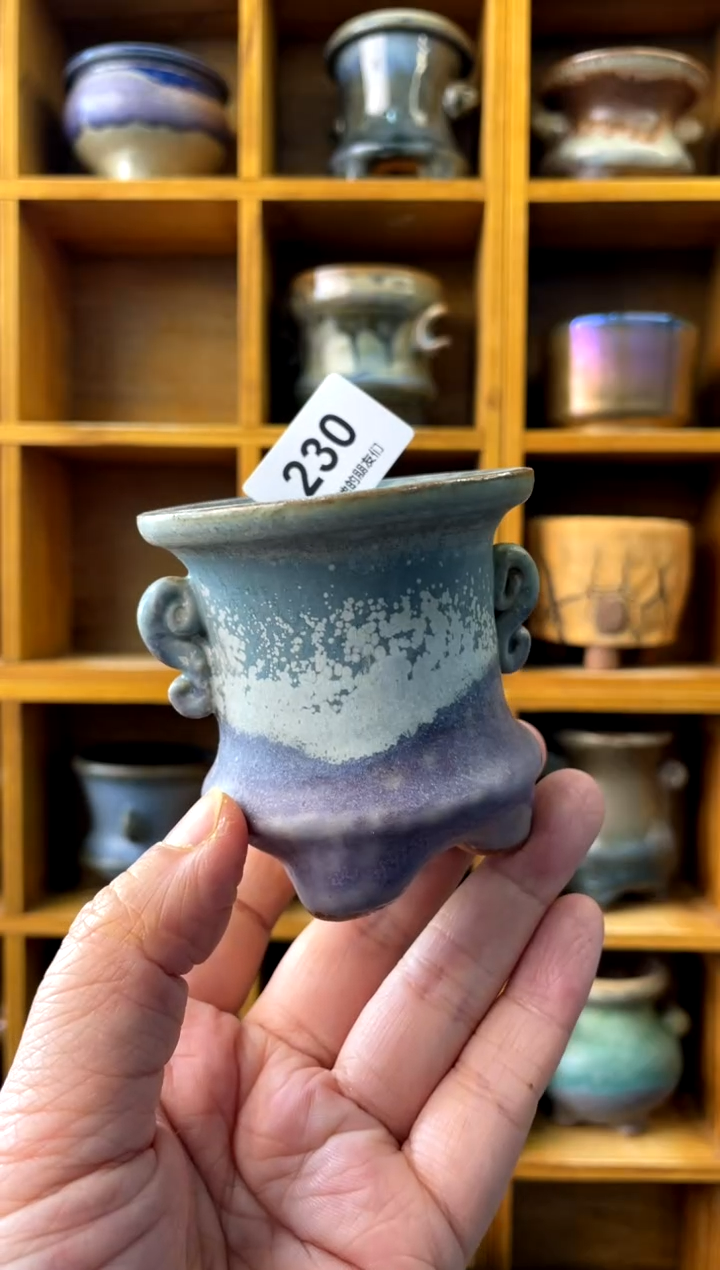 230【多肉花盆多肉盆】