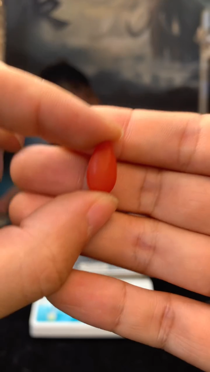 【闪购商品】橄榄核手串/手链猛犸猛犸猛犸猛犸176