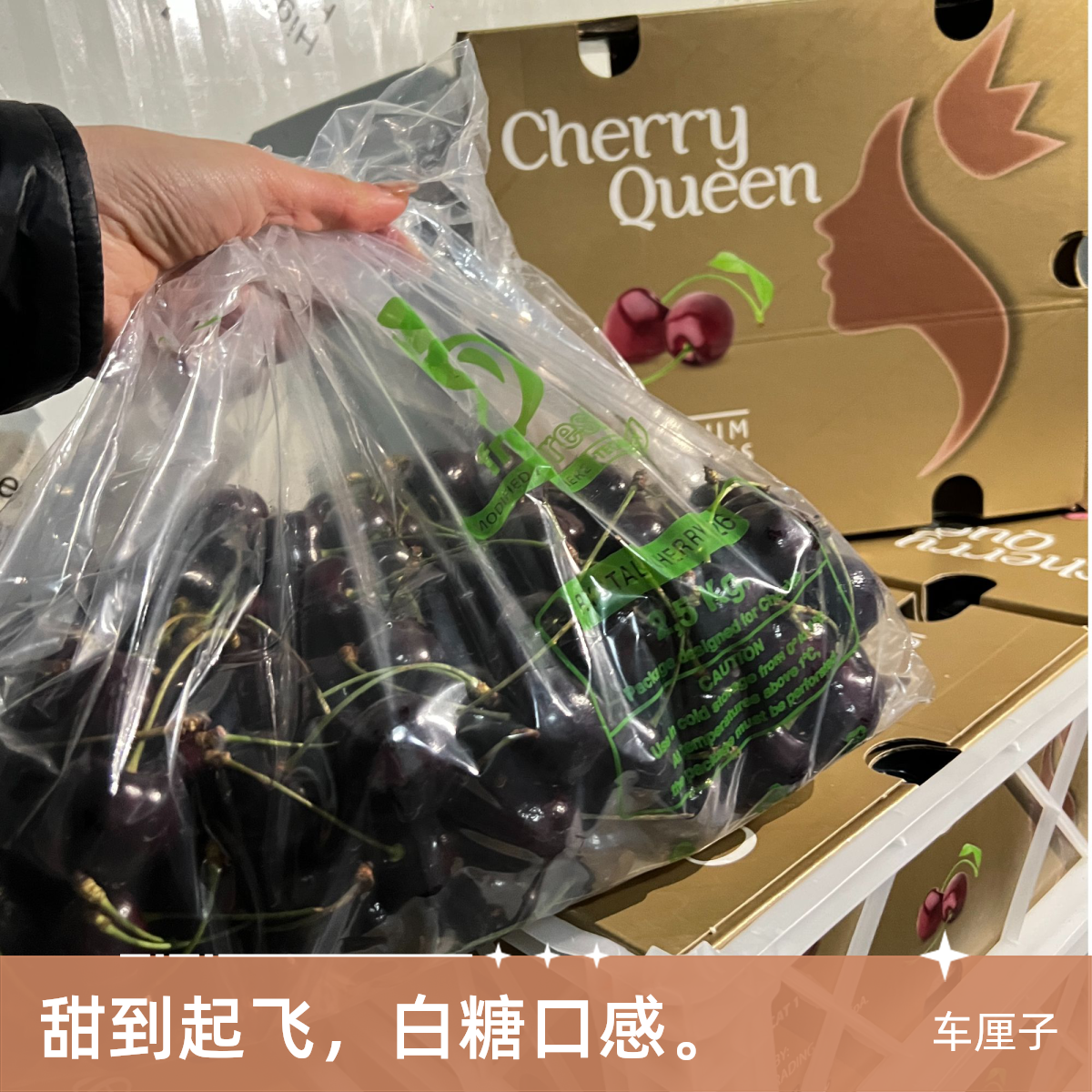 Kordia-科迪亚 2JD级车厘子5斤/箱 脆 超甜