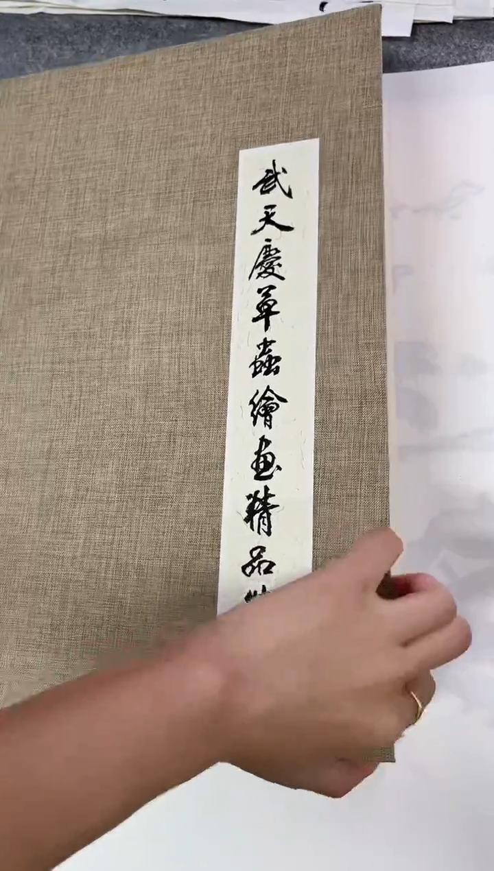 国画心**成武天庆老师贝叶草虫册页