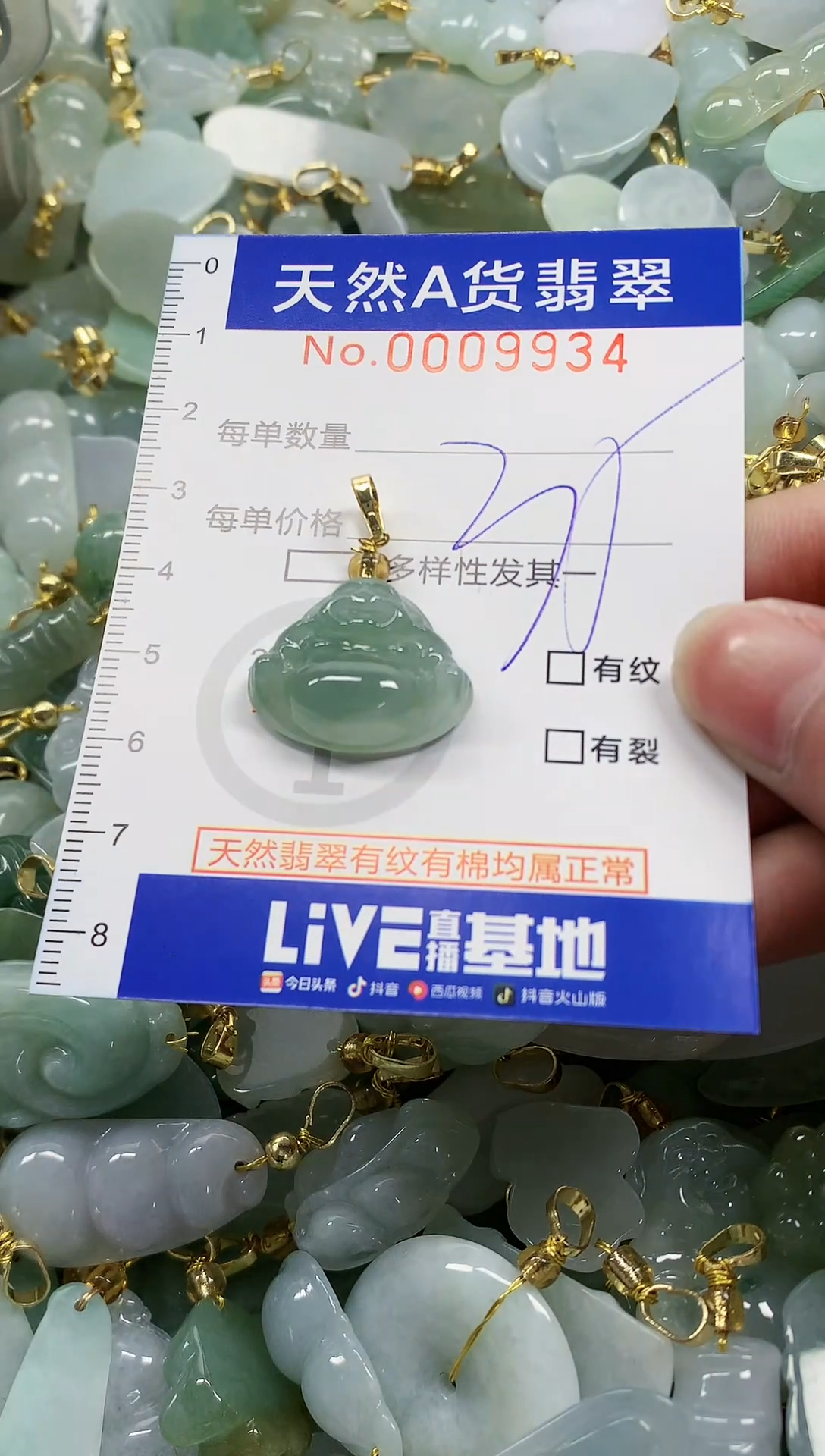 颈饰未镶嵌翡翠纯天然a货翡翠