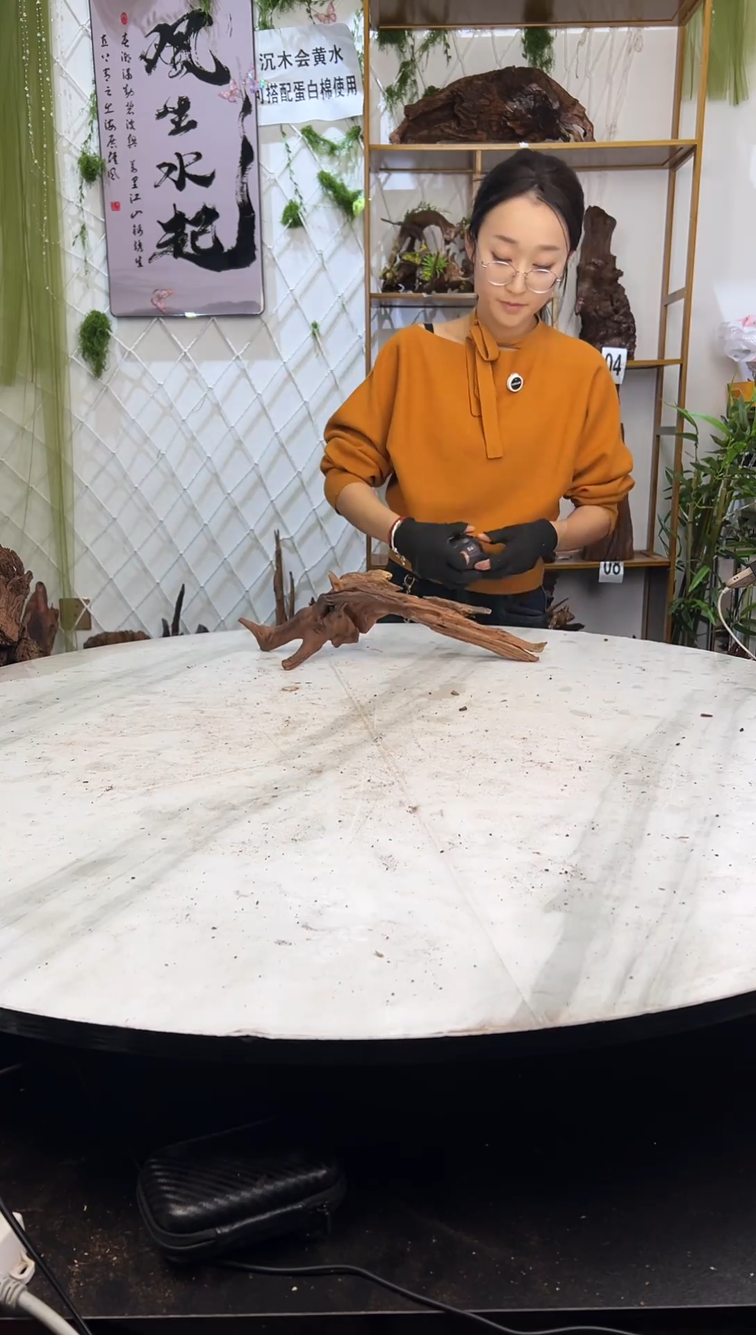 沉木造景，鱼缸造景