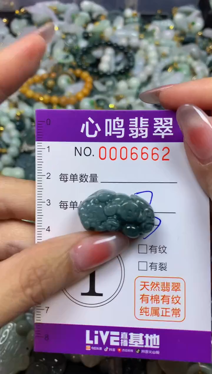【闪购商品】翡翠颈饰未镶嵌闪购006662