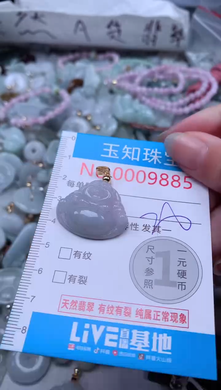 翡翠未镶嵌吊坠(不含链)9885