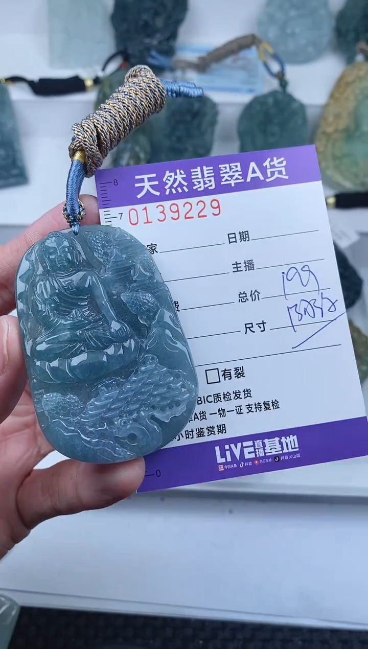 【闪购商品】翡翠颈饰未镶嵌       229