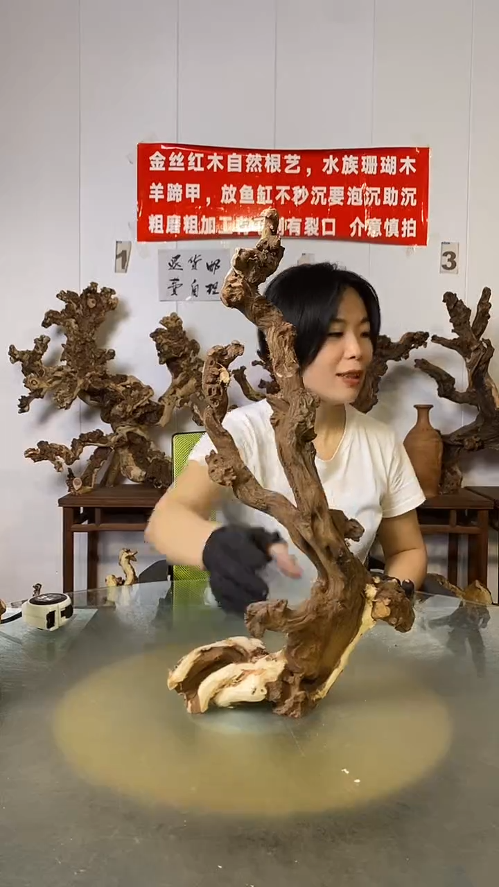 香榧木诺*尔金丝红木   羊蹄甲