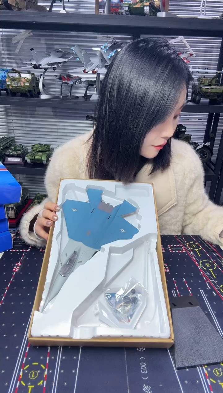 20厘米 塑料飞机机模型F22