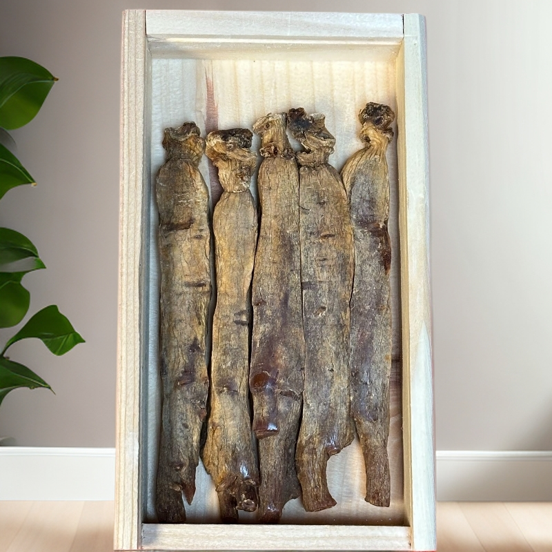 盛吉信高丽参 75克 5条装 