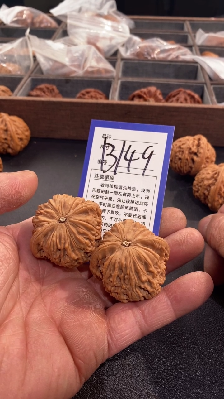 【闪购商品】文玩核桃把件42+蛟龙