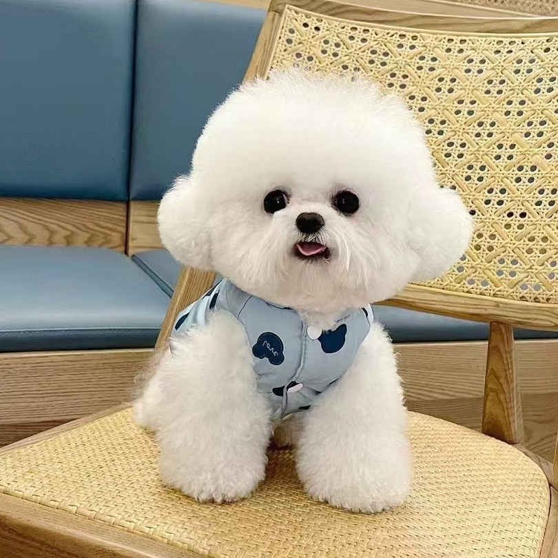 宠物直播链接下单请咨询