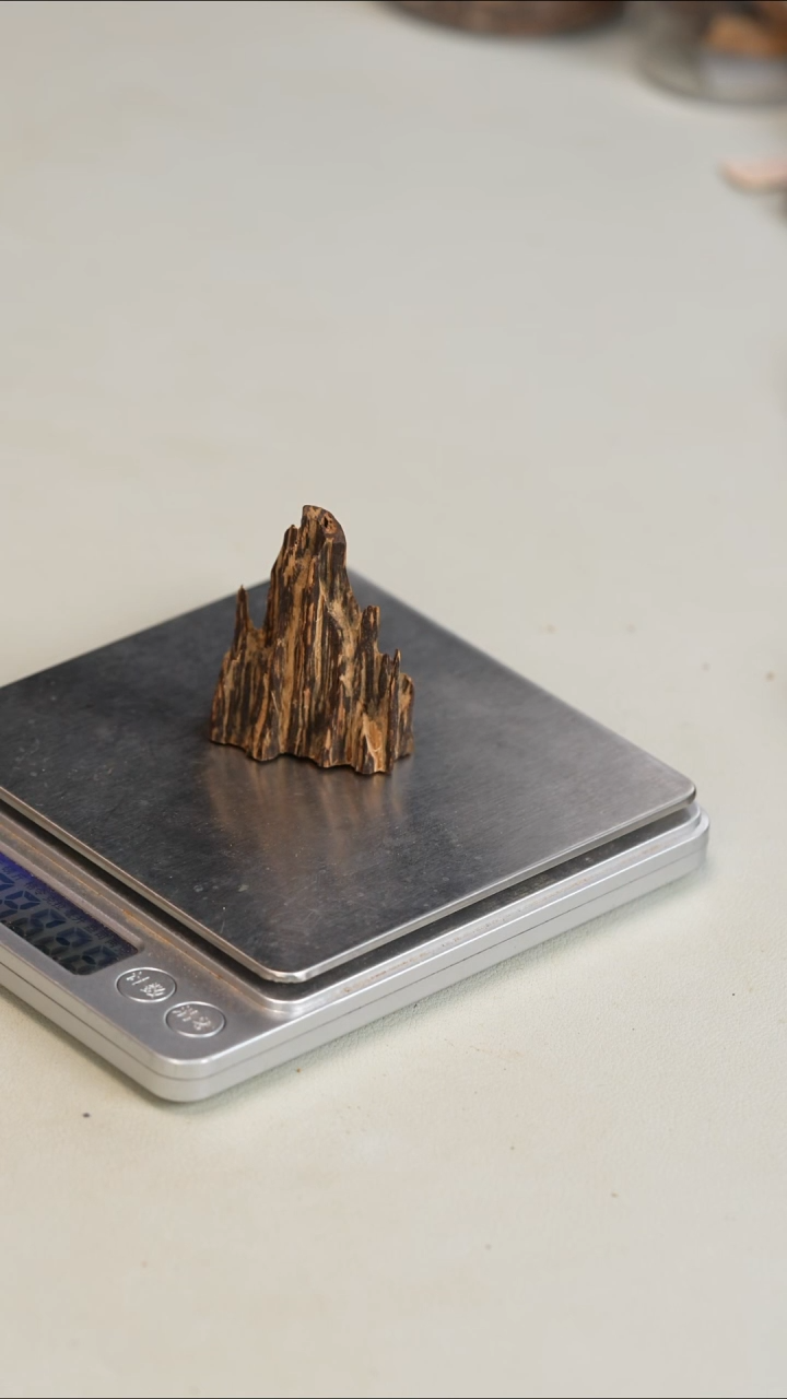 沉香沉香碎屑海南尖峰岭吊口  5.9g