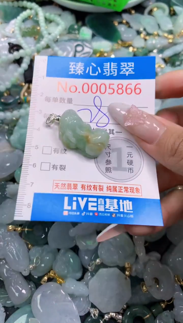 翡翠未镶嵌吊坠(不含链)5866