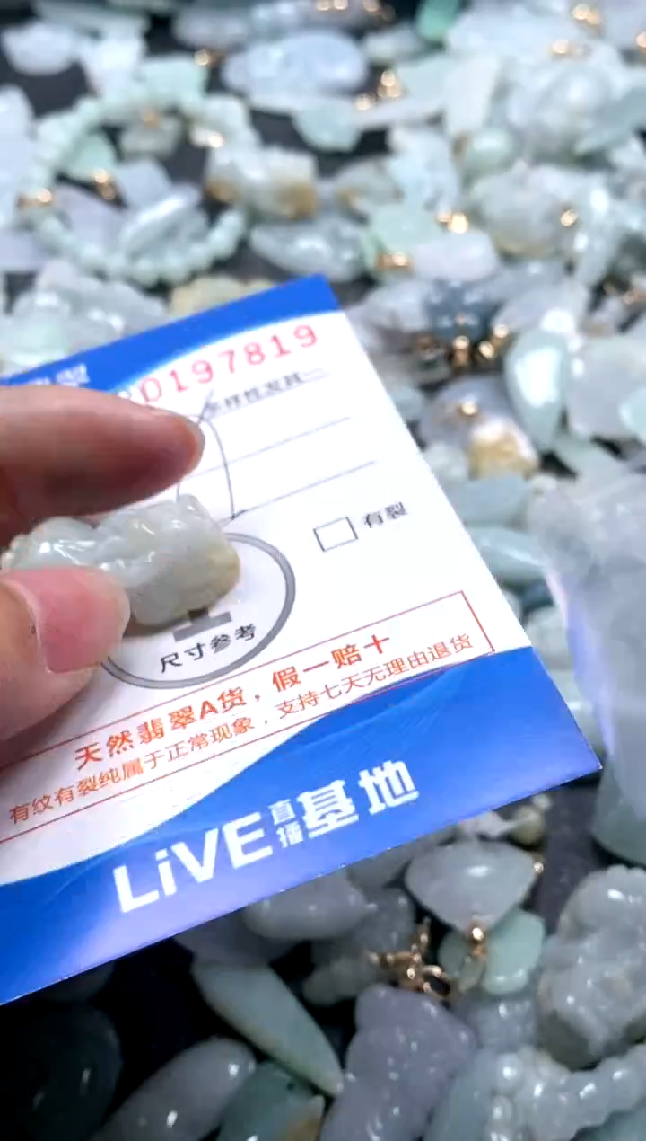 【闪购商品】翡翠颈饰未镶嵌闪购商品0197819