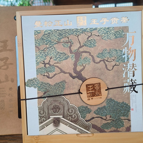 【瓷见如故】2024曼松王子山茶王地林下小高杆 普洱茶叶100g