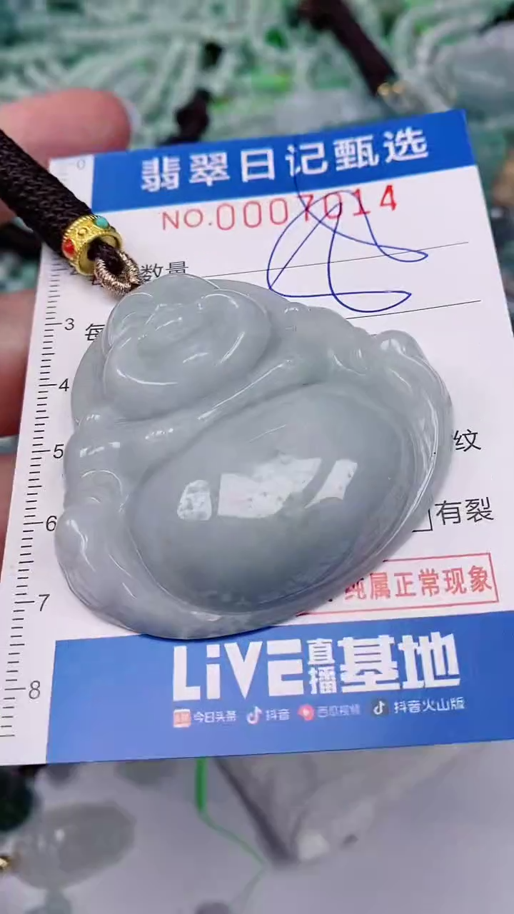 【闪购商品】翡翠颈饰未镶嵌00007014