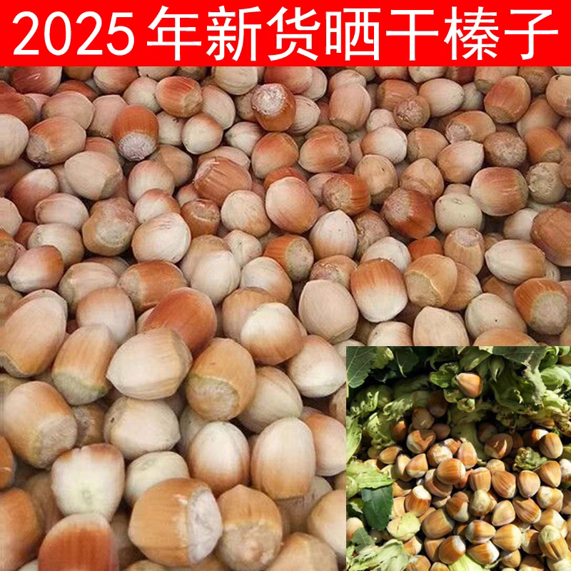 东北野生山榛子小颗粒熟榛子送夹子坚果零食特产干货山货
