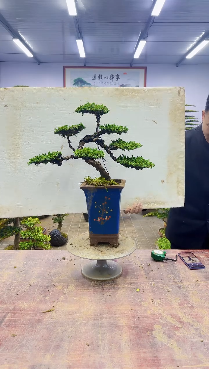 【闪购商品】一物一拍，所见即所得