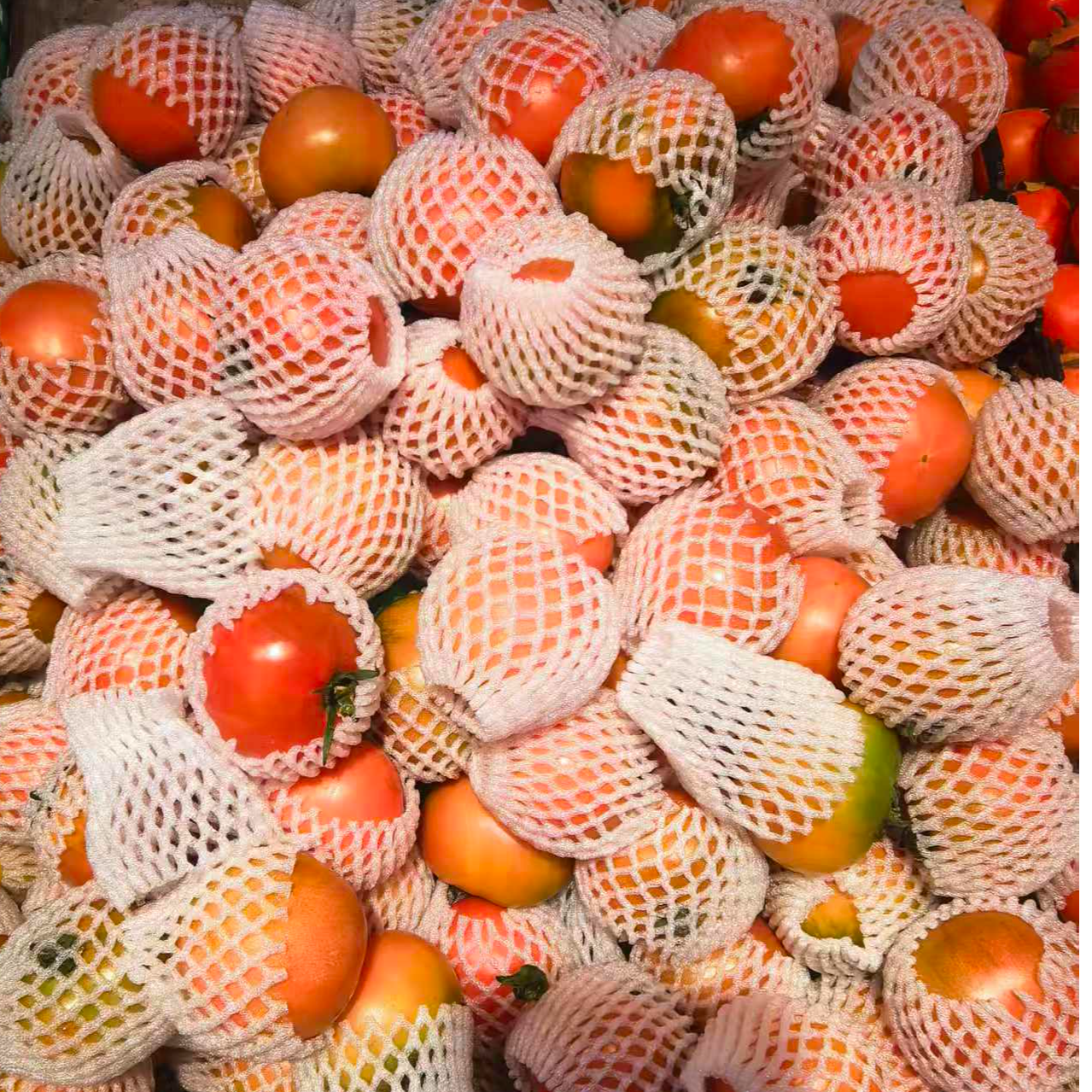 碱地柿子 1斤左右（水果）