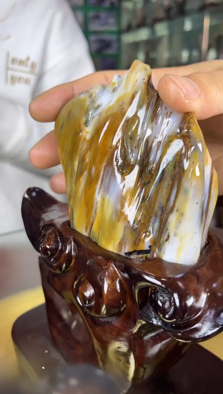 未镶嵌珠宝奇石硅化玉缅甸天然树化玉精品居家摆件