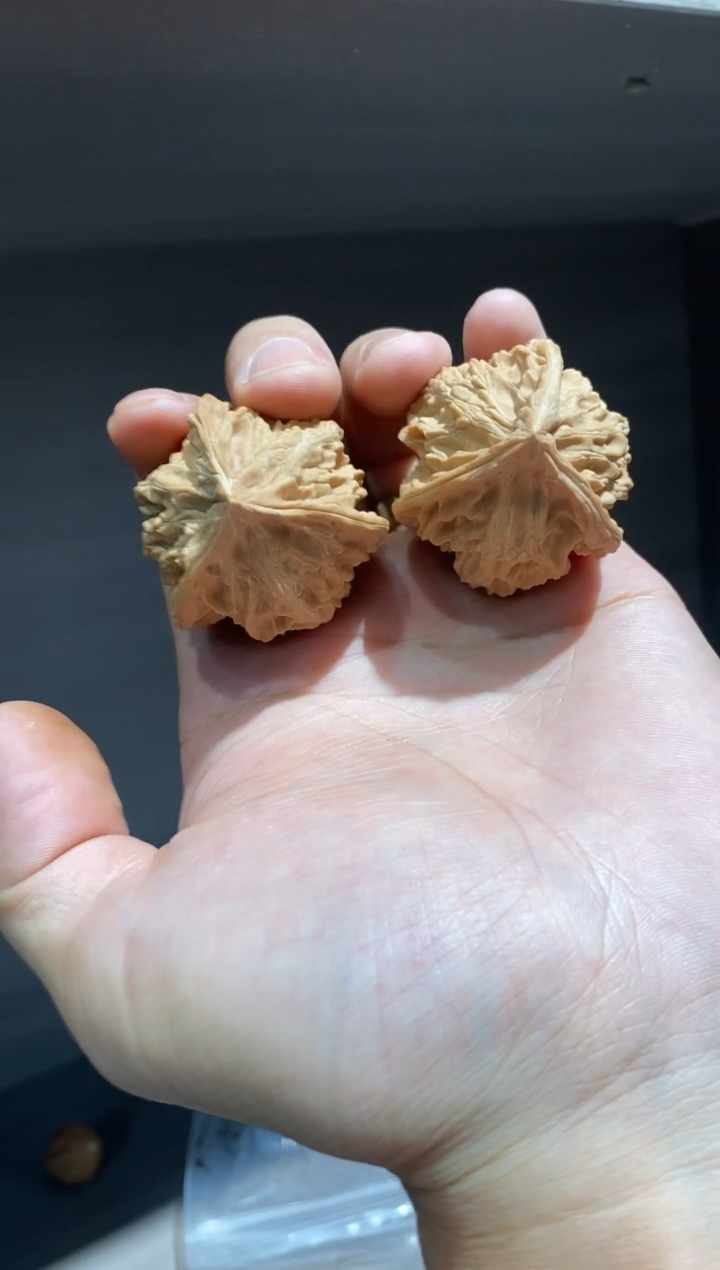 文玩核桃把件2025新果头货全品盘山三棱40