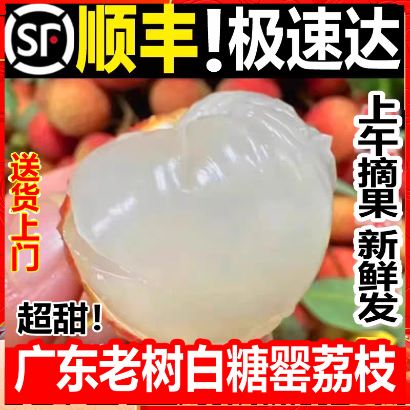 广州茂名白糖罂荔枝5.5斤装广东省