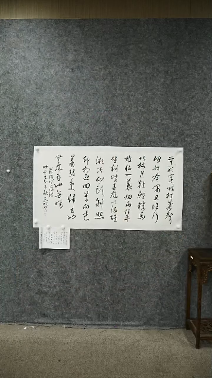 书法书法LZS老师书法作品