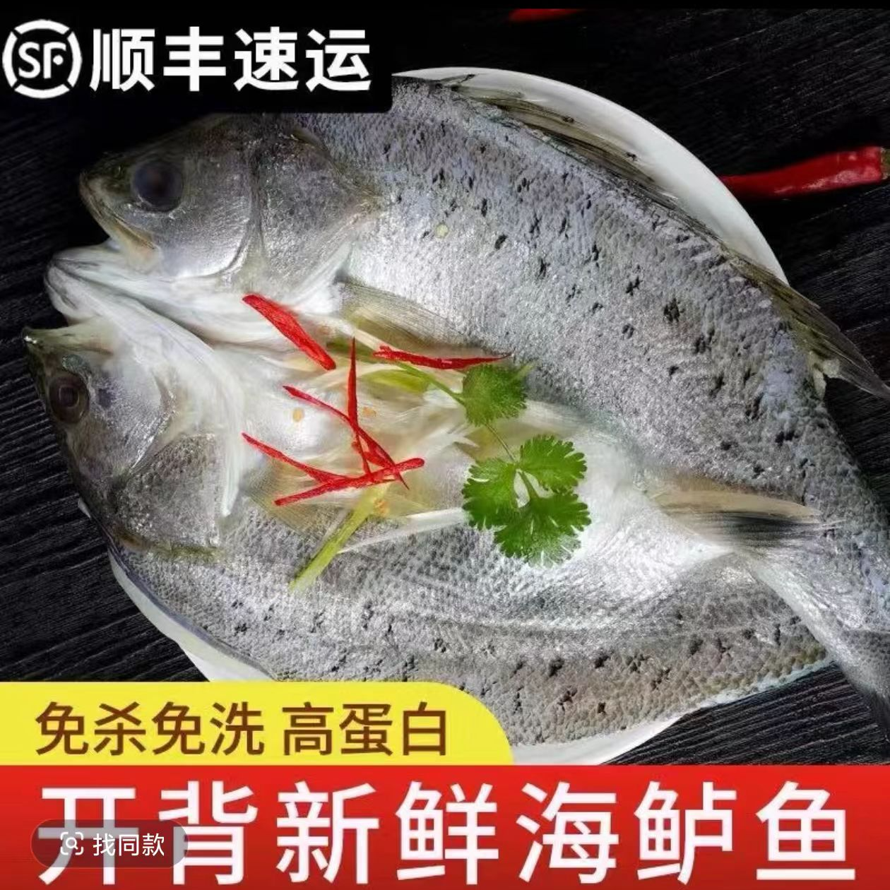 开背海鲈鱼 新鲜速冻 450-550克每条 三去 免洗免杀 水产烤鱼商用